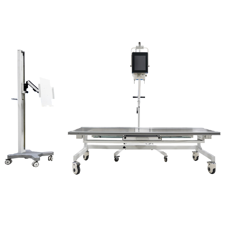 Système de radiographie numérique portable