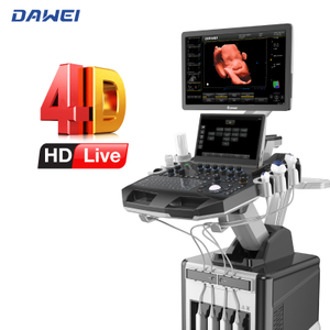 Scanner échographique 4D Trolle