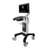 Scanner médical d'ultrason de Doppler de couleur de chariot