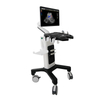 Scanner médical d'ultrason de Doppler de couleur de chariot